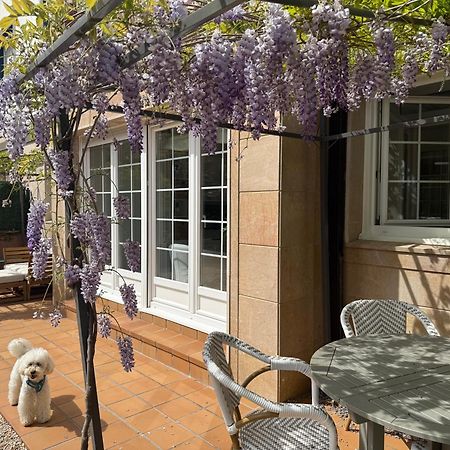 Bakea Apto Con Jardin Privado Bakio Kültér fotó